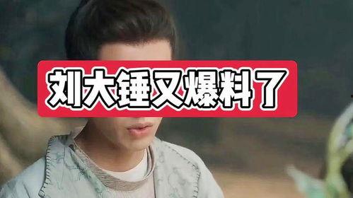 爆料娱乐圈大锤是谁,揭秘爆料者真实身份  第2张